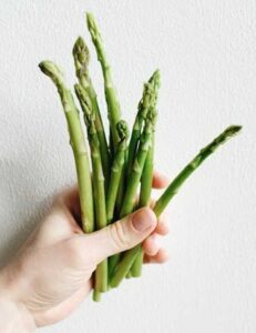 verse groene asperges