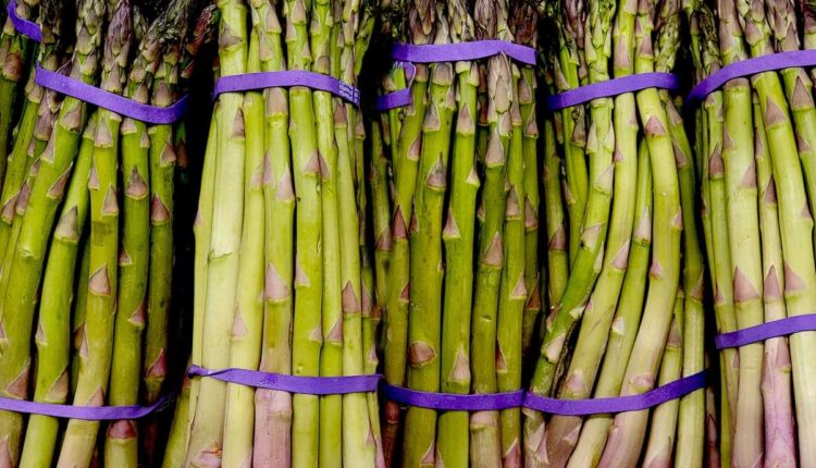 asperge echt vers